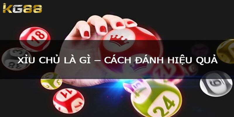 Một số cách đánh xỉu chủ là gì hiệu quả