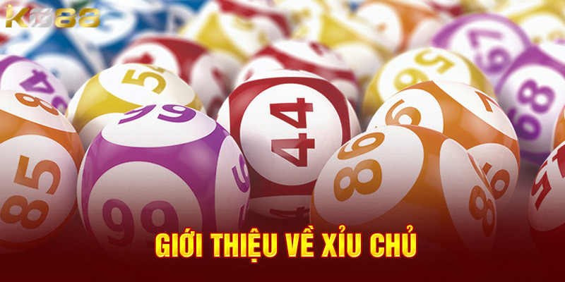 Tìm hiểu về loại hình xỉu chủ là gì